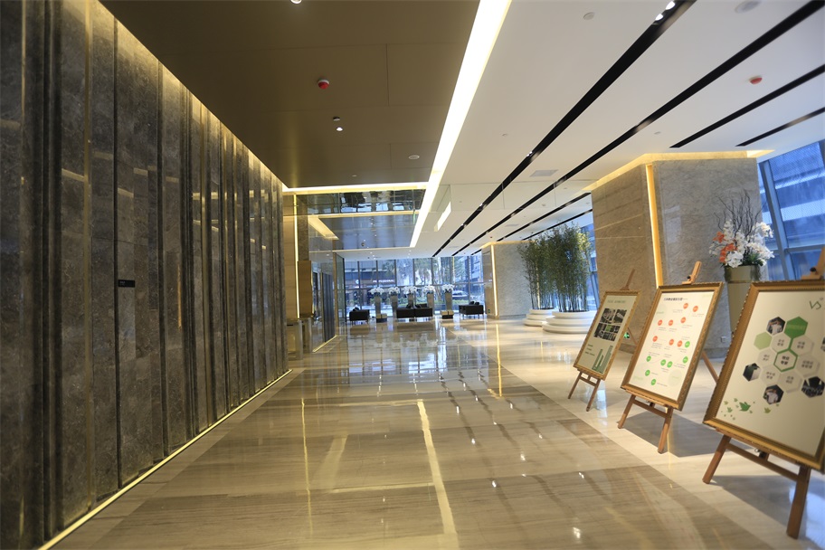作品展示