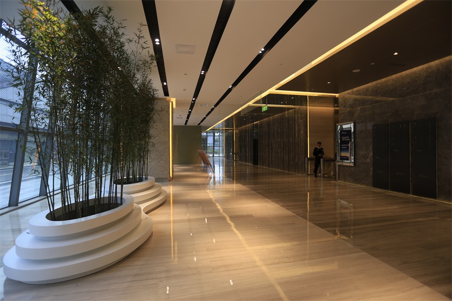 作品展示