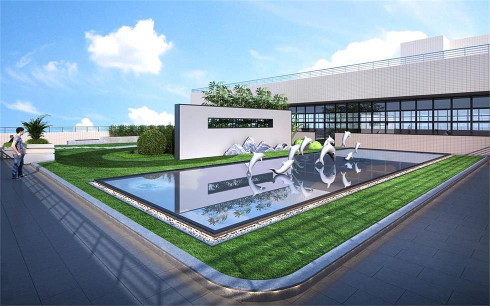作品展示