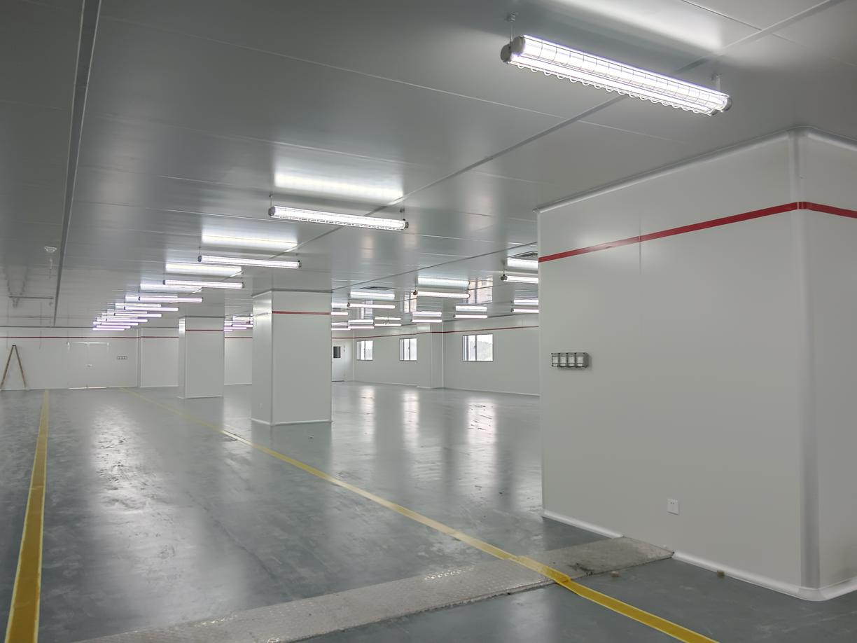 作品展示